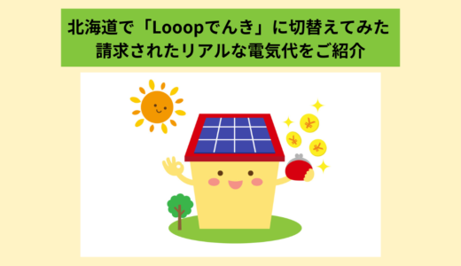【北海道在住で「Looopでんき」に切替えてみた】 リアルな電気代をご紹介