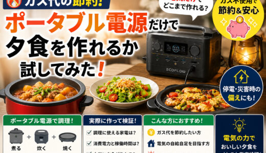 【ガス代の節約】ポータブル電源だけで夕食を作れるか試してみた