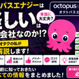 オクトパスエナジーは怪しい電力会社なのか！？節電オタクの私が徹底解説